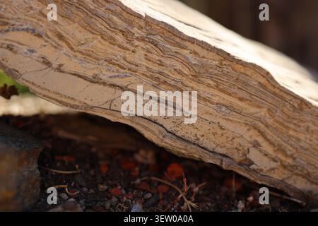 Close-up of layered sedimentary rock showing natural striations and weathered stone texture. Stock Photo