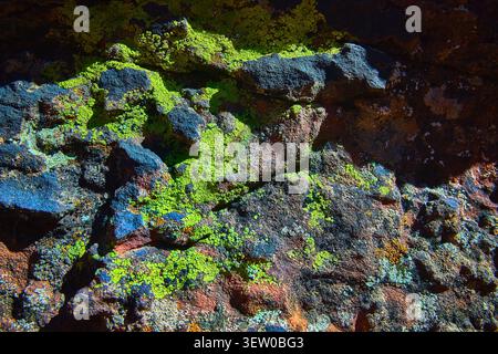 Rock Texture With Lichen Growth and Vivid Colors Close Up Nature Detail Stock Photo