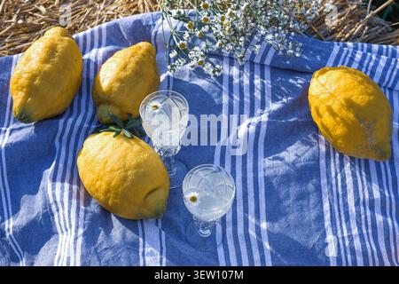 Four yellow lemons and two small glasses filled with clear liquid and flowers placed on a blue and white striped linen cloth over dry grass. Stock Photo