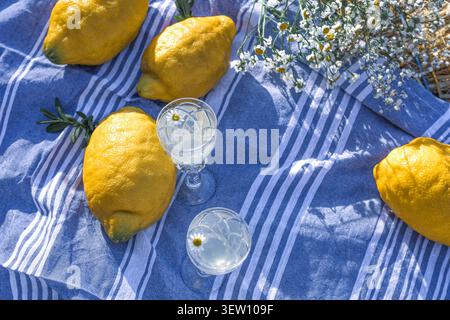 Four whole lemons and two glasses of water with small white flowers placed on a blue and white striped linen napkin over a straw background. Stock Photo