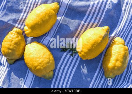 Five whole yellow lemons and a small green leaf rest on a blue and white striped textile. Bright sunlight creates sharp shadows on the textured surfac Stock Photo