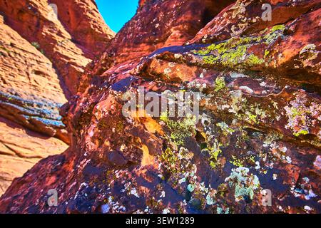 Close Up Red Sandstone Lichen Texture in Sunlight Desert Landscape Stock Photo