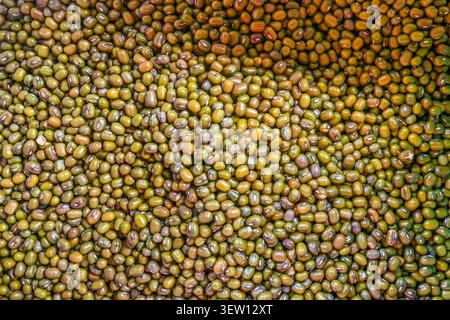 High angle close up studio shot of raw green mung beans filling the frame to create a uniform natural seed texture background for publishing media. Stock Photo