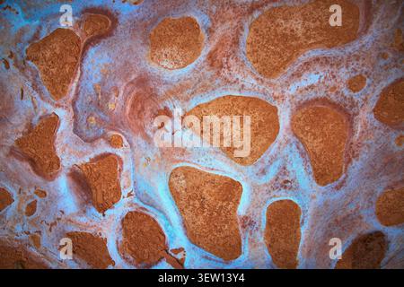 Aerial Abstract Texture of Red Rock and Blue Sand Patterns in Desert Landscape Stock Photo