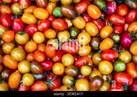 Assortment of multi-colored cherry tomatoes background . High quality photo Stock Photo