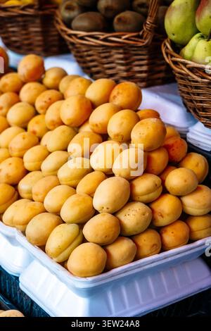 Fresh harvest of golden apricots. View of a large, mounded pile of freshly harvested, sun-ripened apricots in a container, Stock Photo