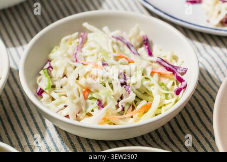 Homemade Savory Cabbage Coleslaw Salad with Carrots for a Barbecue Holiday Stock Photo
