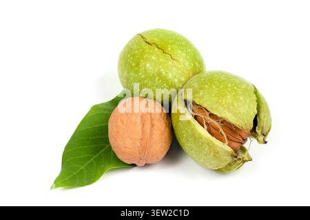 Composition of natural walnuts. Nuts on a white background. Green walnuts with leaves. Stock Photo
