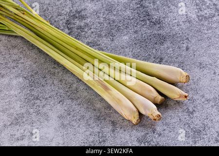 Fresh lemongrass stalks arranged diagonally on textured gray background. Natural lighting highlights pale green cream tones. Clean composition ideal f Stock Photo