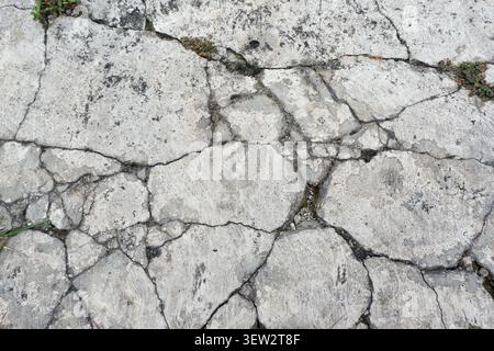 Macro close-up of severely cracked and fragmented concrete surface showing irregular polygonal sections with deep fissures and rough surface texture. Stock Photo