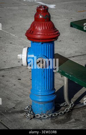 A vibrant red and blue fire hydrant stands on a paved New York City sidewalk. It is chained to a green park bench, capturing an urban street scene in Stock Photo