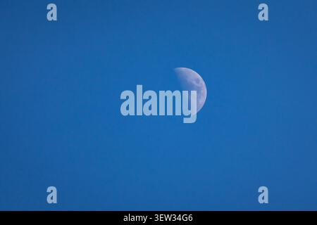 Crisp half moon floats in a bright daytime sky revealing pale craters and gentle shading a quiet celestial scene for science themes dreamy art prints Stock Photo