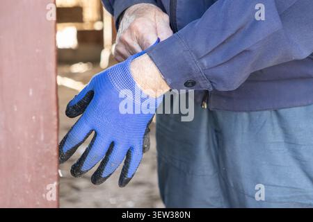 A close view of a person wearing a blue work jacket putting on a durable protective glove, demonstrating essential safety preparation for manual labor Stock Photo