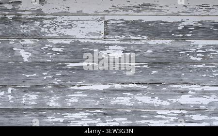 Close up of weathered beveled clapboard siding with worn cracked flaking white paint, exposed natural wood patina Stock Photo