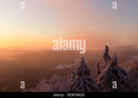Breathtaking landscape in the Bavarian Forest near Mitterdorf - serene winter landscape at dawn, featuring snow-covered pine trees on a mountaintop Stock Photo