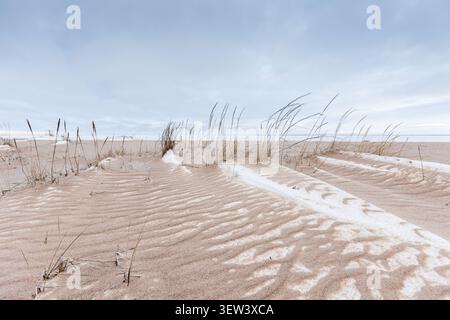 Wind-sculpted sand dunes dotted with sparse beach grasses stretch toward a calm sea beneath a soft overcast sky, evoking solitude, serenity, coastal n Stock Photo