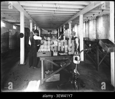 Workers bottling olive oil, San Fernando Valley, Los Angeles, ca.1900 Photograph of workers bottling olive oil, Sylmar area, northeastern San Fernando Valley, Los Angeles, ca.1900. The room's roof is comprised of a framework of horizontal wooden beams supported by rows of wooden posts. To the left are rows of metallic barrels lines up on pallets or some type of wooden structure. The barrels are covered with cloths. At right are cylindrical vats(?) situated on top of tall wooden tables. In the center is a worktable where three men are seen processing the olive oil (or running test on the olive Stock Photo