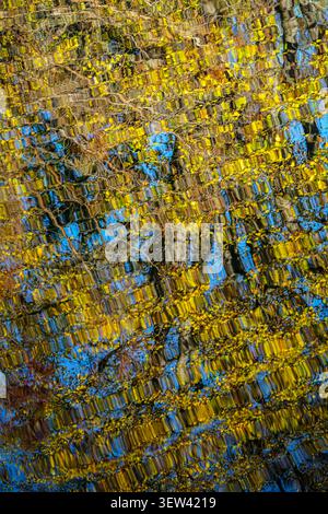 This close-up abstract image captures vibrant golden and yellow autumn foliage reflected on rippled water. The reflections, interspersed with bright b Stock Photo