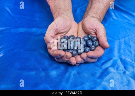 from deep indigo to almost black purple, in these blueberries scattered across a canvas of velvety darkness Stock Photo