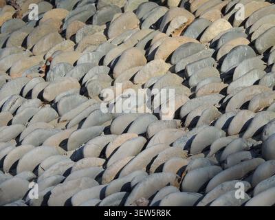 Stone paving made of rounded pebbles laid in dense, slanted rows on edge. The texture combines natural gray and beige tones. Stock Photo