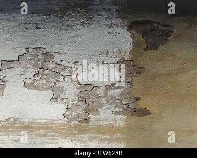 The texture of the bark of an old tree. The gray-beige trunk reveals deep cracks and the characteristic peeling of the protective layer Stock Photo