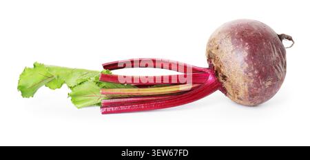 Whole young beet with green leaves isolated on white Stock Photo