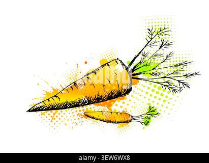 Carrot object paint Hand drawn. Not AI, vector illustration. Stock Vector