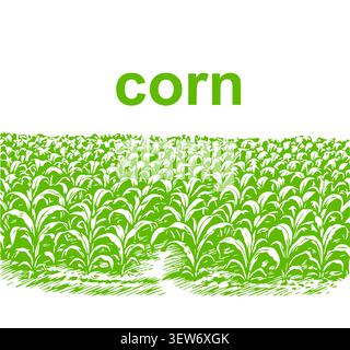 corn field . beautiful summer vector illustration. Stock Vector