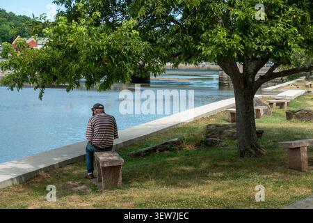A man sits quietly on a bench, under the shade of a tree, by the water, reading a book. Stock Photo