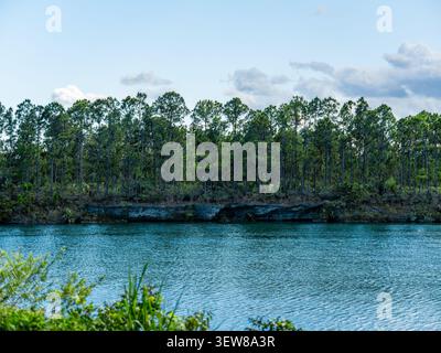 The tall green pine trees grow densely along the rough limestone shore of the blue lake within the protected nature conservation area. Stock Photo
