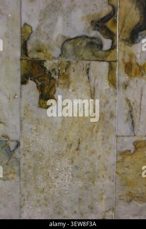 Full frame view of natural quartzite or marble stone tiles with unique olive green and gold mineral veins. This abstract geological texture surface is Stock Photo