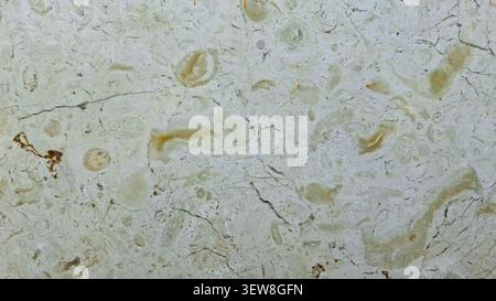a natural stone texture, resembling pale-colored marble or limestone. Stock Photo