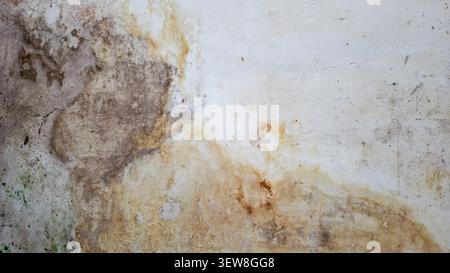 Grunge texture of an aged concrete wall, featuring prominent water damage stains, mildew, and discolored brown, gray, and green patches Stock Photo