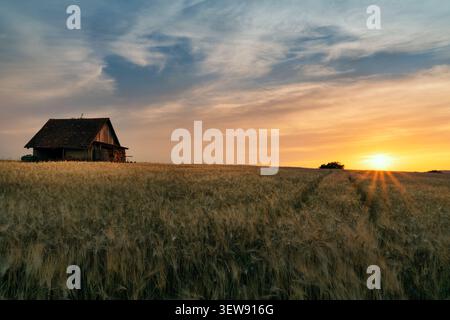 Switzerland, Baselland, Baselbiet, Wenslingen, barn, field barn, June, summer, hiking trails, Baselbiet Field Barn Association Stock Photo