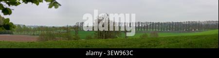 Wide panoramic landscape view of green fields, a long stone wall lined with tall trees, and a distant house under an overcast sky in Skåne Sweden Stock Photo