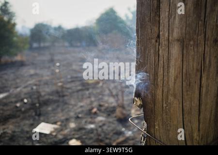 Smoldering wooden post in a burnt landscape Stock Photo