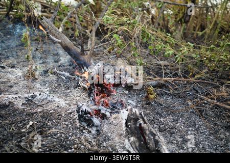 Close up of smoldering embers and ash Stock Photo