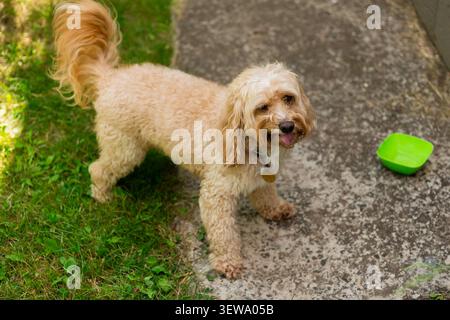 Photo Stock Photo