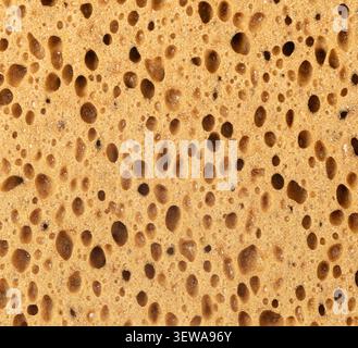 Porous yellow sponge showing macro surface texture and holes for water absorption Stock Photo