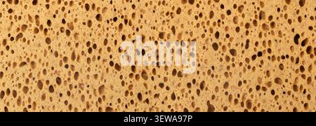 Close-up view showing the absorbent and cellular texture of a yellow sponge Stock Photo