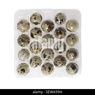 Quail eggs arranged in a clear plastic container, seen from a top view Stock Photo