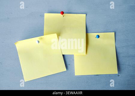Three blank yellow sticky notes with attached with pins to a blue wooden wall, copy space Stock Photo