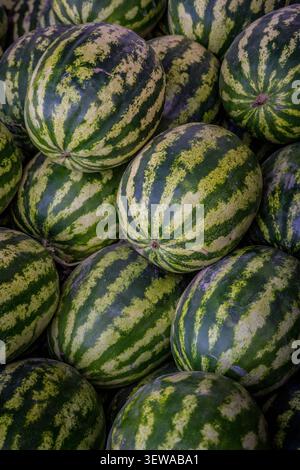 A high-angle, full frame shot shows many round and oval watermelons closely packed, displaying dark green and pale yellow-green striped rinds with som Stock Photo