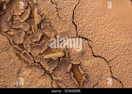 Extreme close-up of parched, cracked earth texture showing deep fissures and dry clay fragments, capturing the harsh essence of a severe drought and e Stock Photo