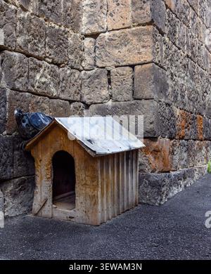 Small wooden doghouse near old stone wall. Roof rusts, weathered wood shows age. Stone wall textured, dark gravel ground Stock Photo