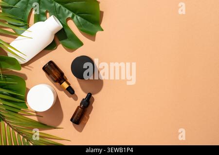 Skin care products, natural cosmetic jars and bottles with palm leaves over colored background. Flat lay copy space. Stock Photo