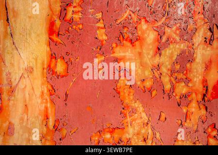 Close-up view of a weathered metal surface featuring vibrant layers of peeling paint. The abstract composition showcases textures and colors of decay, Stock Photo