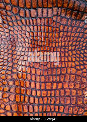 This macro shot shows a textured surface of amber brown faux crocodile leather. The pattern of scales is clear and well-defined, perfect for design wo Stock Photo