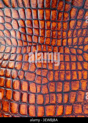 A surface shows a brown crocodile pattern. The shiny texture highlights the unique design. This surface can be used in various craft and textile proje Stock Photo