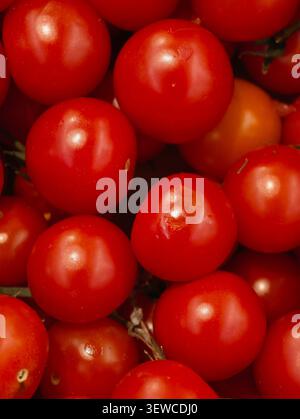 Close-up view of ripe red tomatoes packed tightly together, showing smooth glossy skins, rich red color, subtle stem traces, and fresh harvest texture Stock Photo